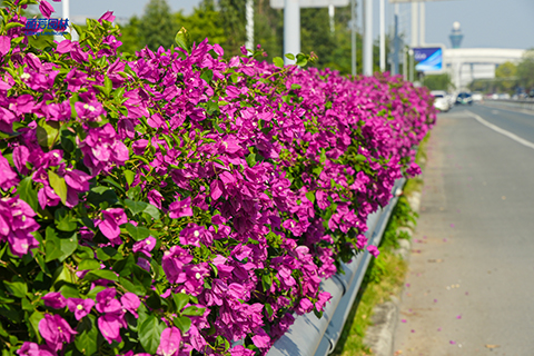 J9����|����վ����