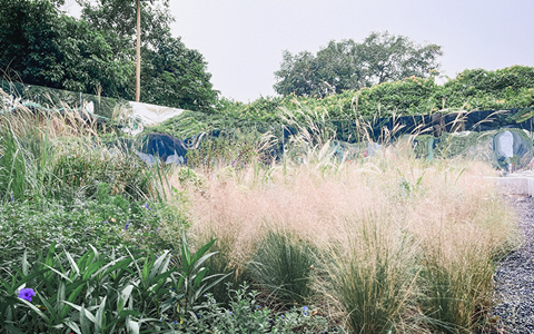 J9����|����վ����