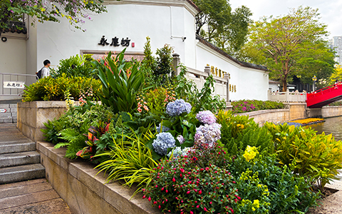 J9����|����վ����